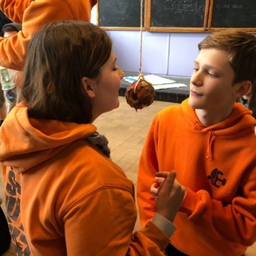 92468 148519372758763 4222496113791336448 n - Scouts en Gidsen Zaventem 